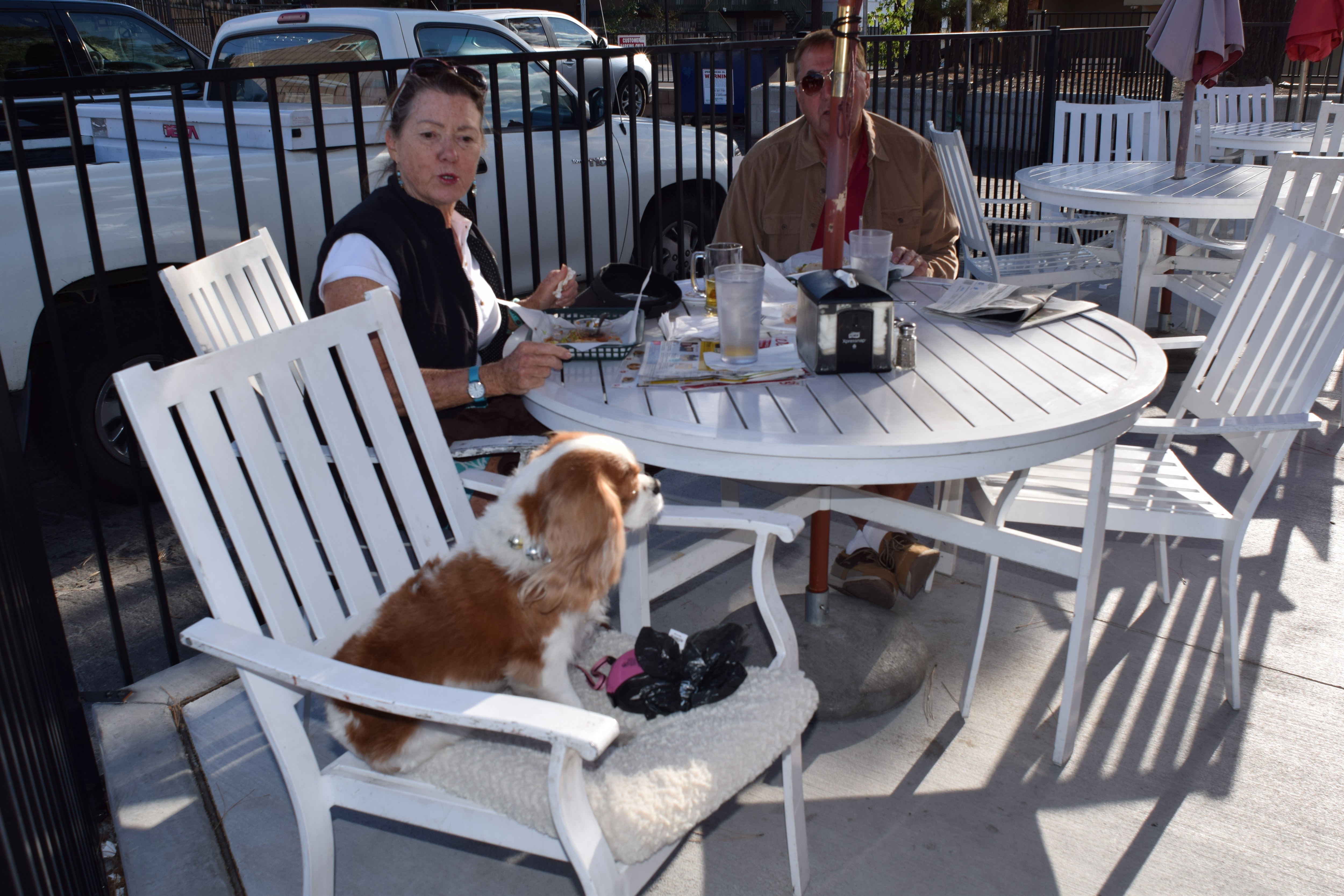 Pet Friendly Restaurants Destination Big Bear