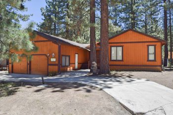 Big Bear Dog-Friendly Cabins 