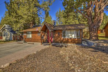 Big Bear Dog-Friendly Cabins 