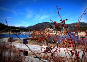 Big Bear Lake