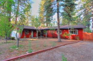 Big Bear Dog-Friendly Cabins 