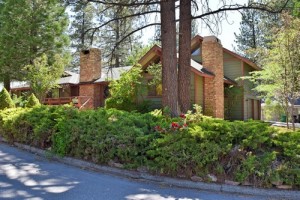 Big Bear Dog-Friendly Cabins 