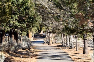 Hiking in Big Bear