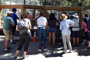 Learn about helping animals and the environment at the Big Bear Alpine Zoo