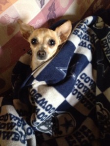 lexi in blanket