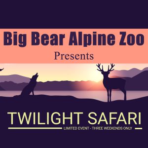 Twilight Safari Big Bear Alpine Zoo