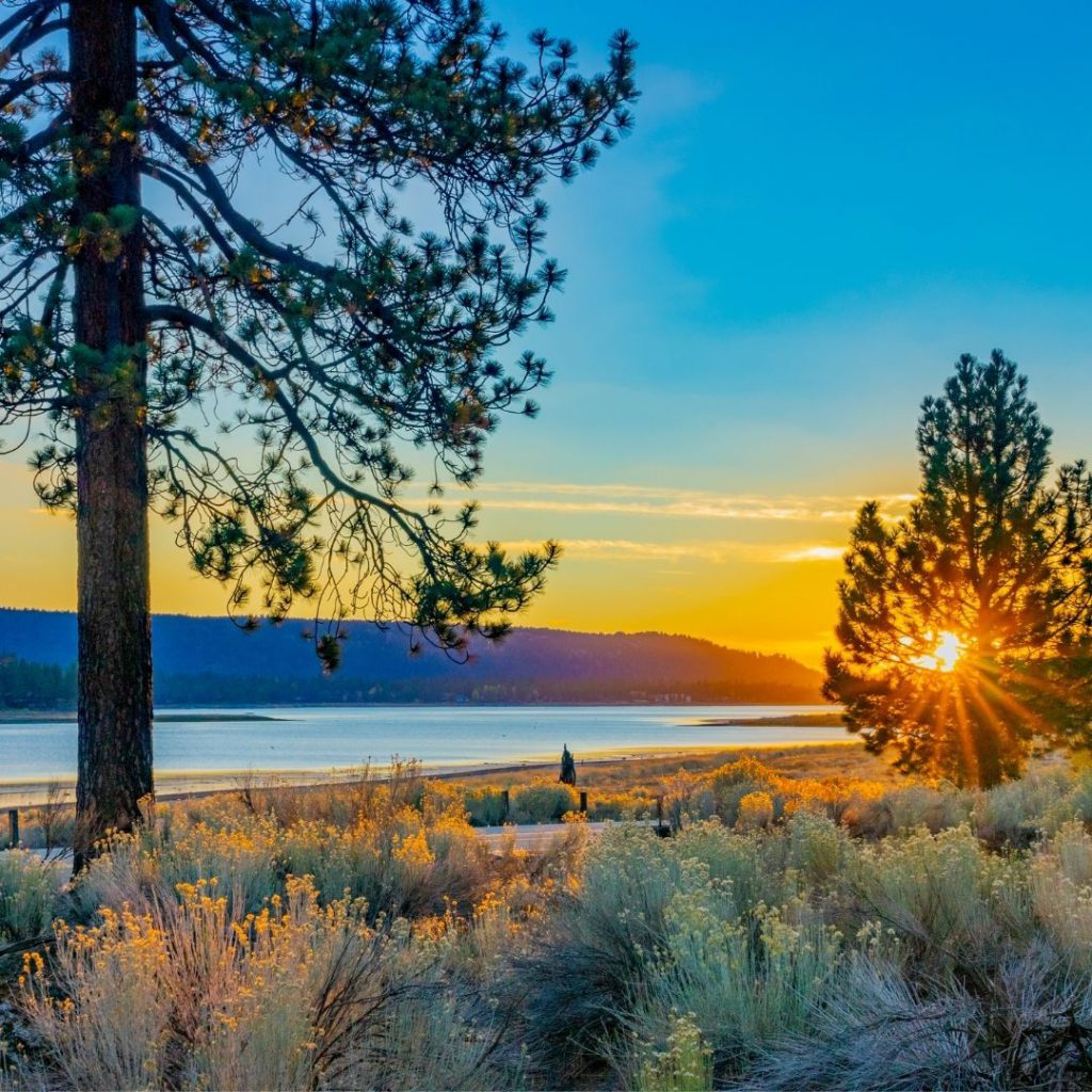 Things To Do in Big Bear During The Fall