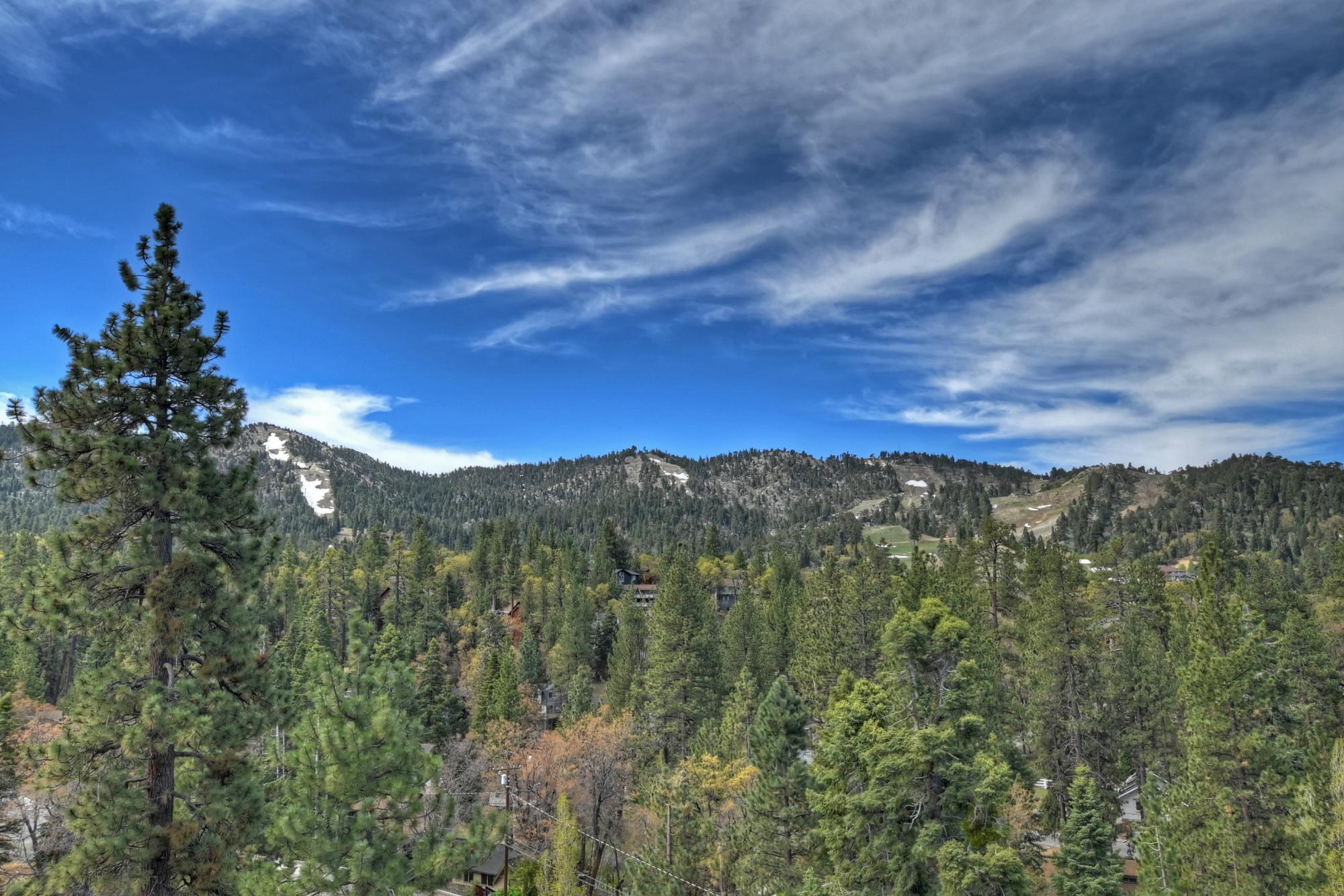 Big Bear Cabin - Bear View Lodge - 27