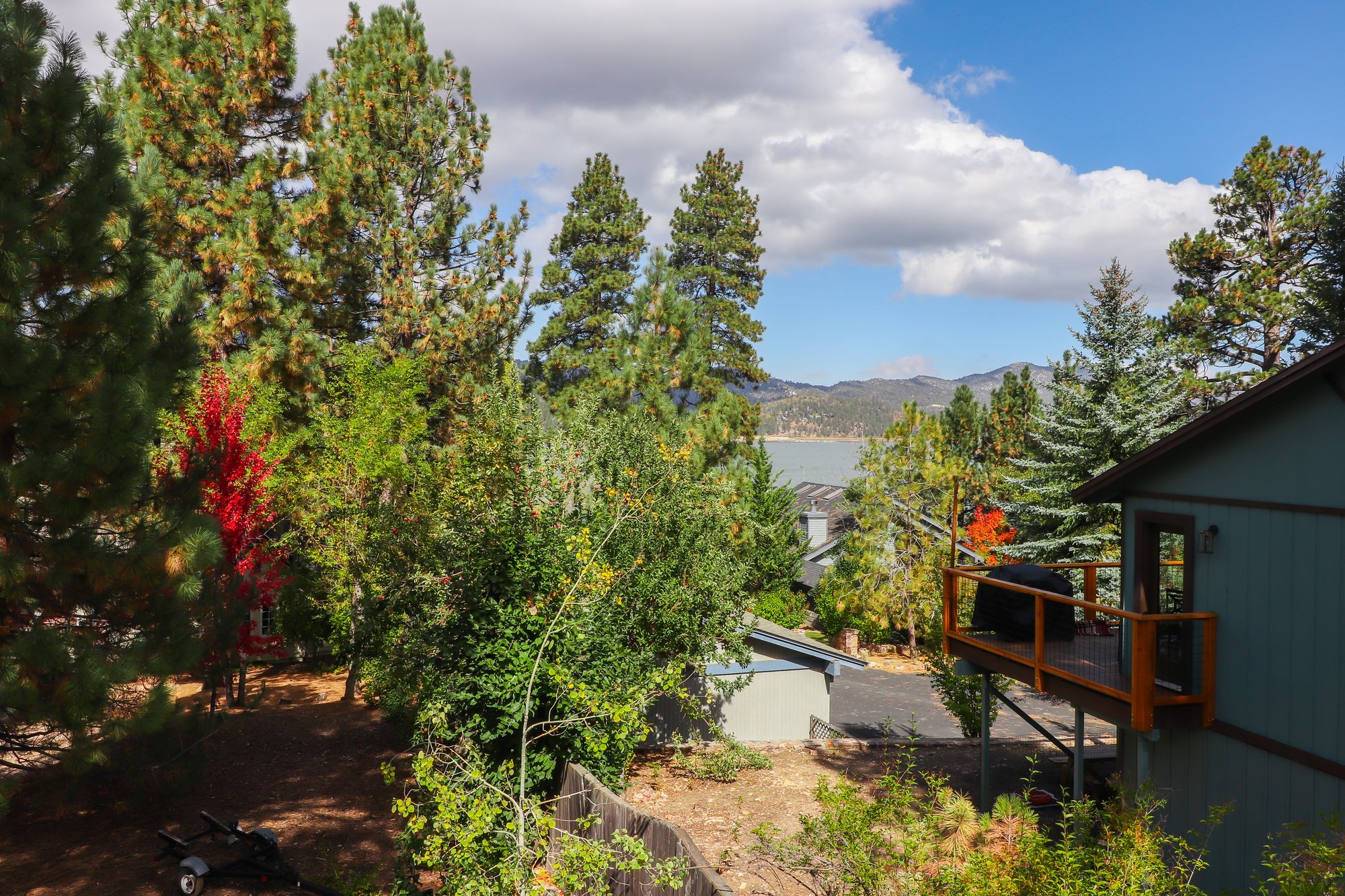 Big Bear Cabin - Eagle Wings - 17