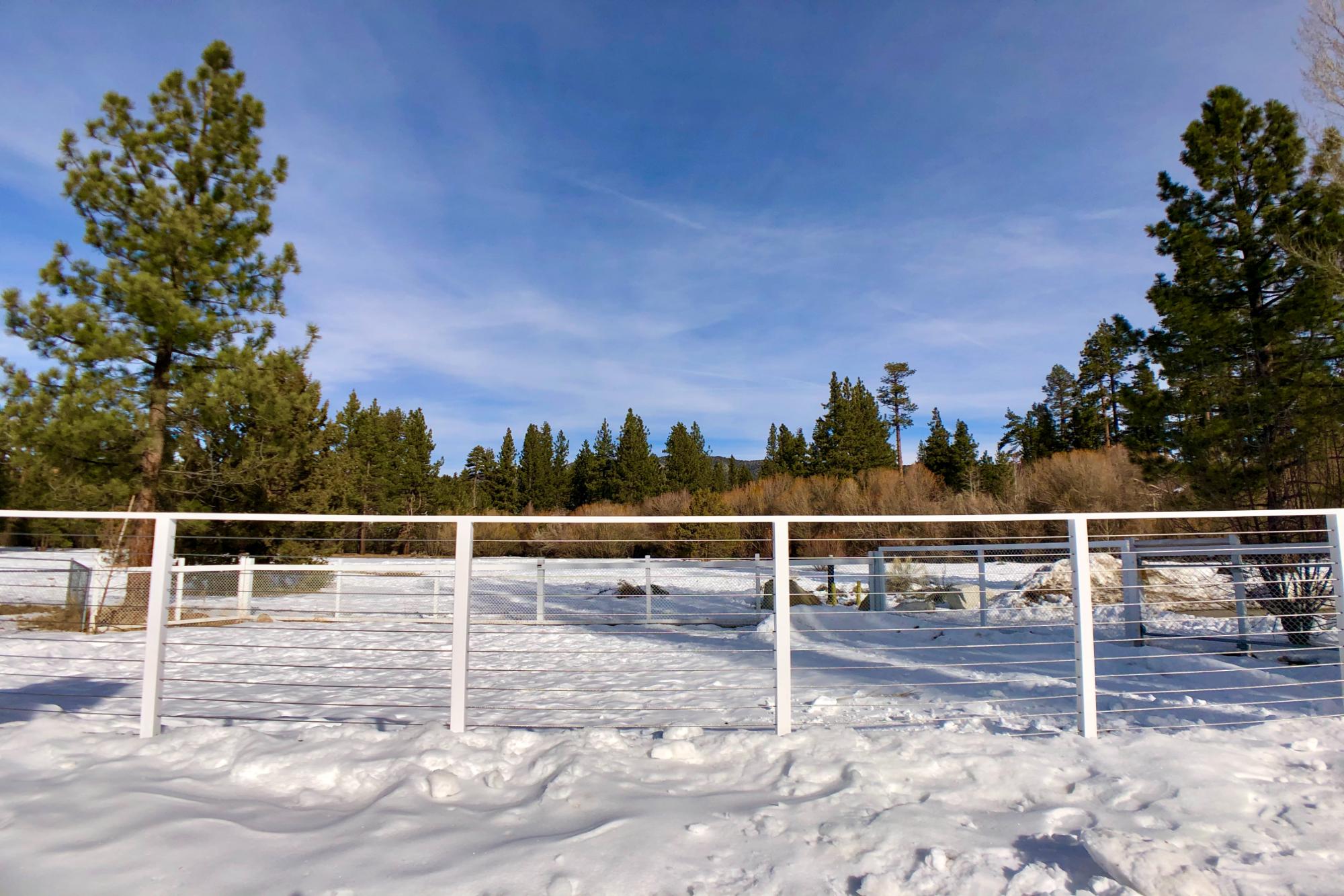 Big Bear Cabin - Meadow's Edge - 26