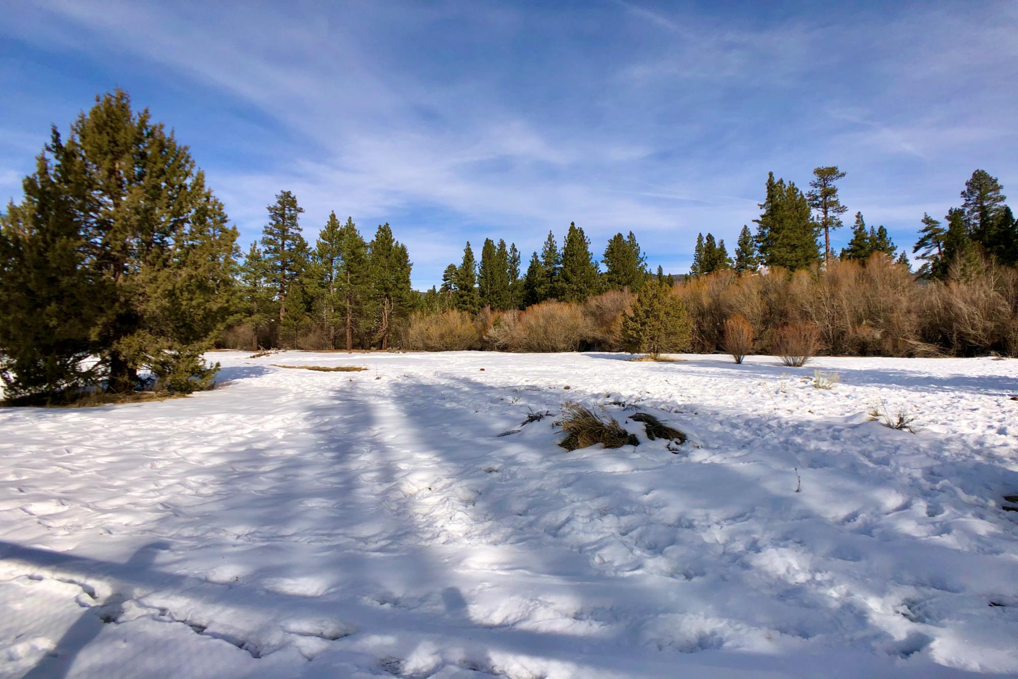 Big Bear Cabin - Meadow's Edge - 27