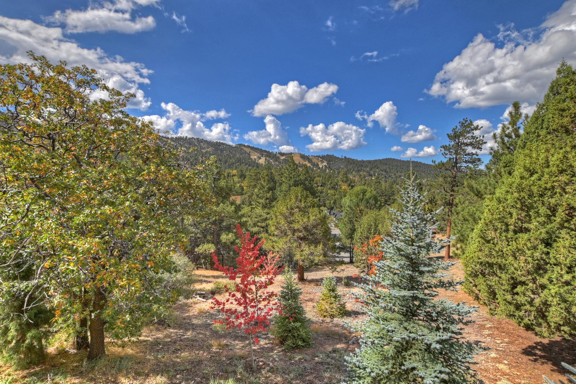 Big Bear Cabin - Ski and View Lodge - 39