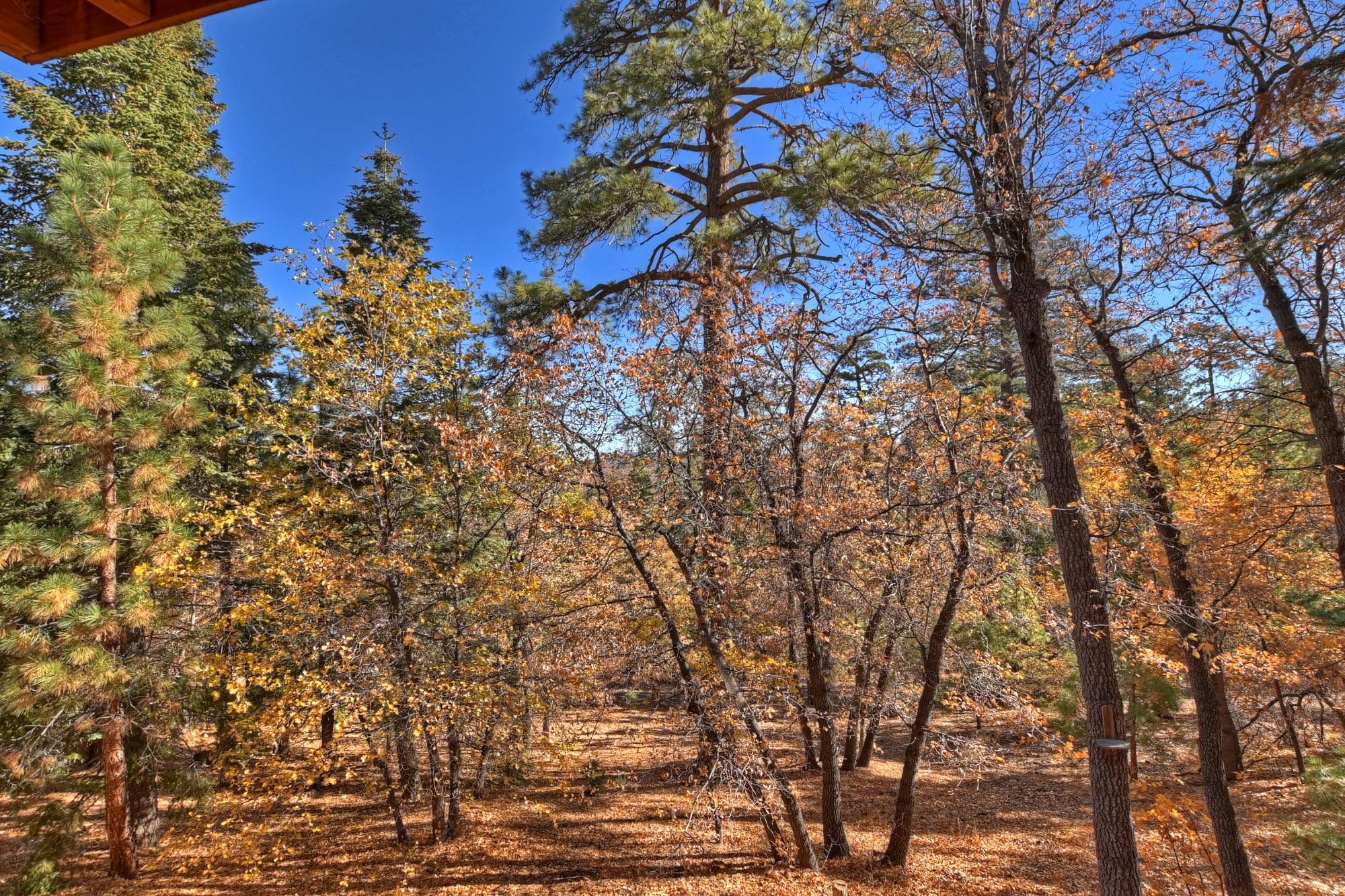 Big Bear Cabin - Sundance Lodge - 41