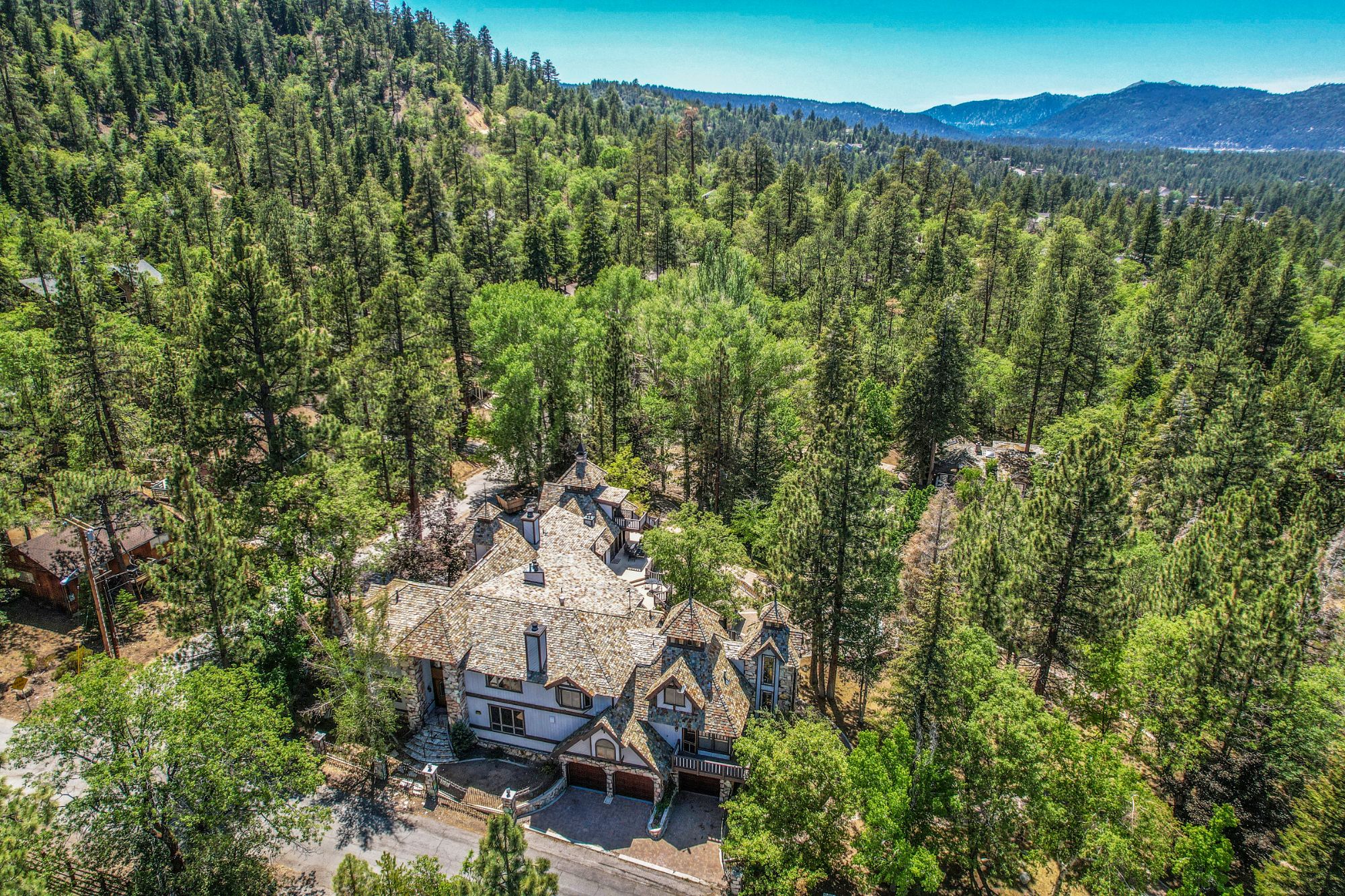 Big Bear Cabin - The Edgewood Mansion - 111