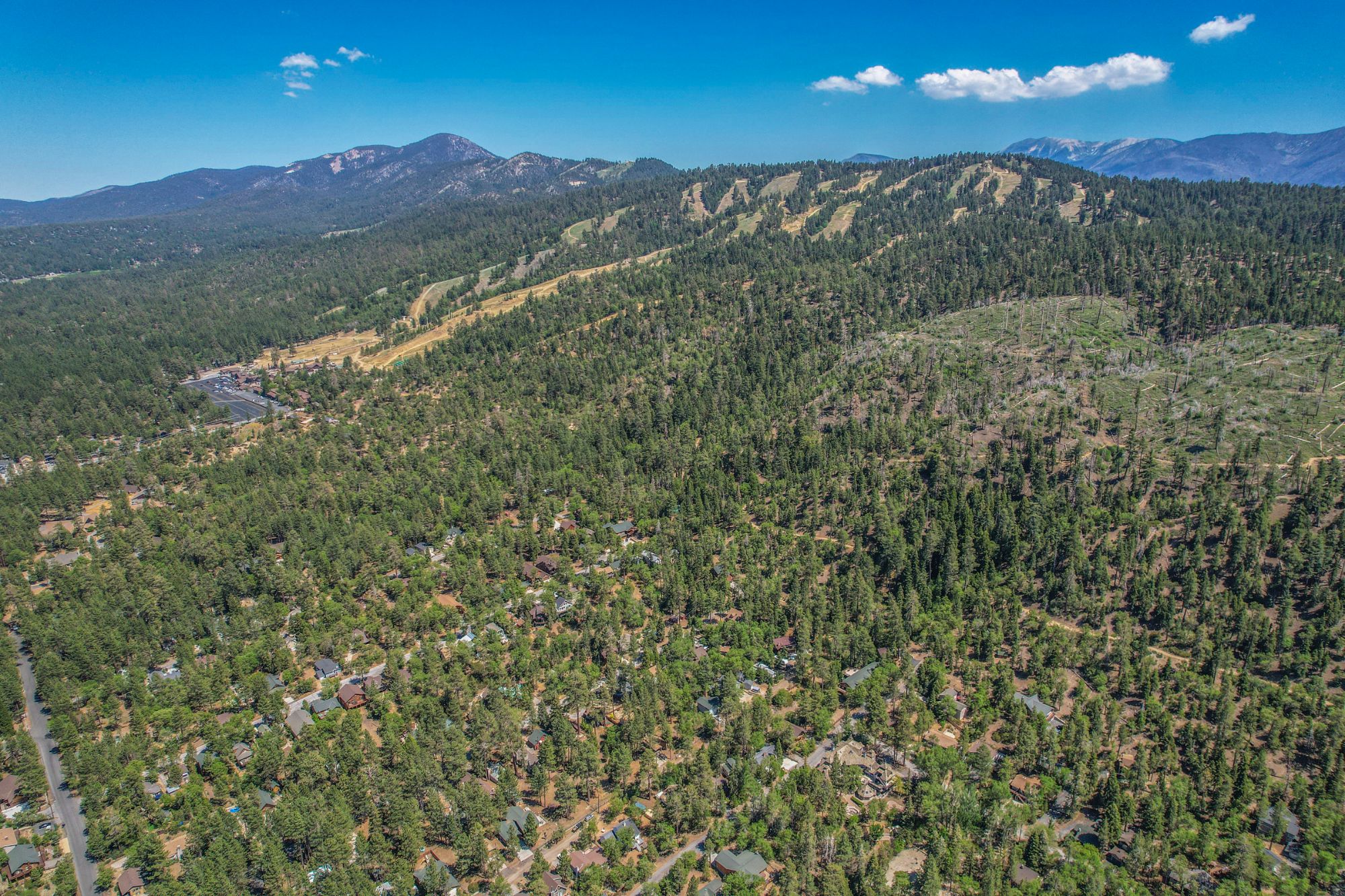 Big Bear Cabin - The Edgewood Mansion - 119