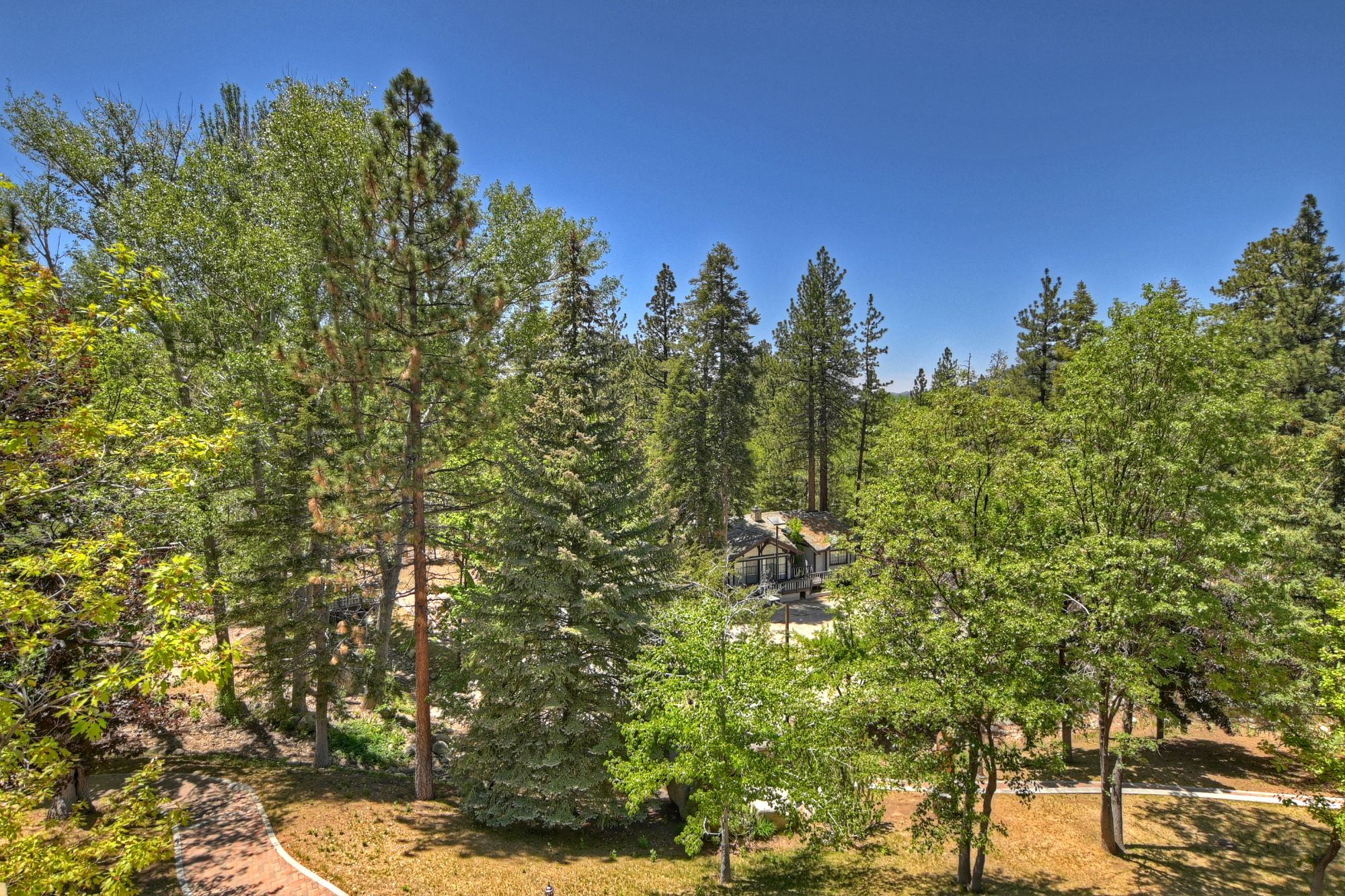 Big Bear Cabin - The Edgewood Mansion - 72